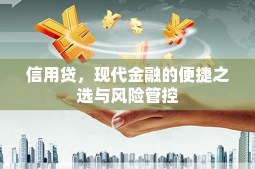 嵩县信用贷，现代金融的便捷之选与风险管控