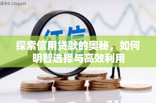 嵩县探索信用贷款的奥秘，如何明智选择与高效利用