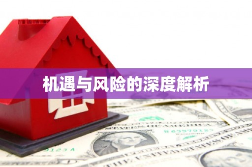 嵩县机遇与风险的深度解析
