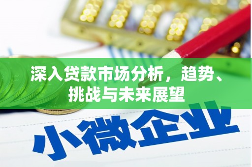 嵩县深入贷款市场分析，趋势、挑战与未来展望