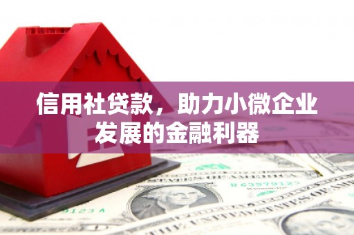 嵩县信用社贷款，助力小微企业发展的金融利器