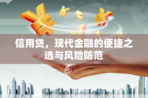 嵩县信用贷，现代金融的便捷之选与风险防范