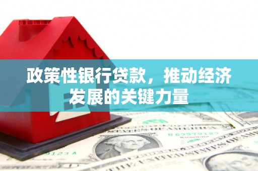 嵩县政策性银行贷款，推动经济发展的关键力量