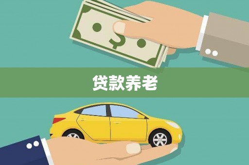 嵩县贷款养老
