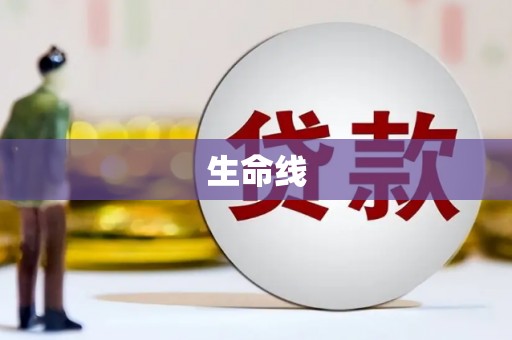 嵩县生命线
