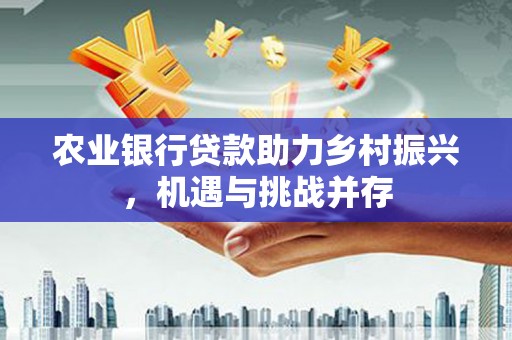 嵩县农业银行贷款助力乡村振兴，机遇与挑战并存