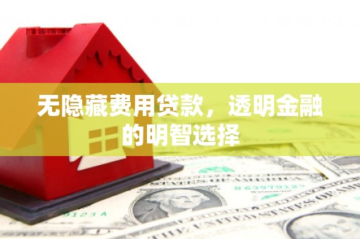 嵩县无隐藏费用贷款，透明金融的明智选择
