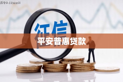 嵩县平安普惠贷款