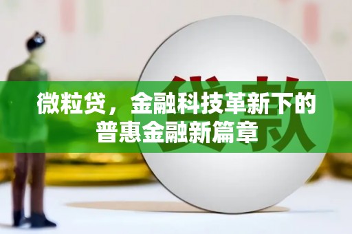 嵩县微粒贷，金融科技革新下的普惠金融新篇章