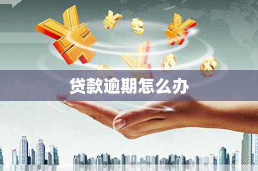 嵩县贷款逾期怎么办