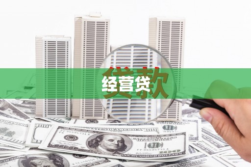 嵩县经营贷