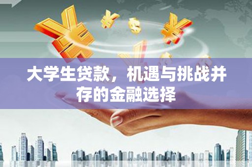嵩县大学生贷款，机遇与挑战并存的金融选择