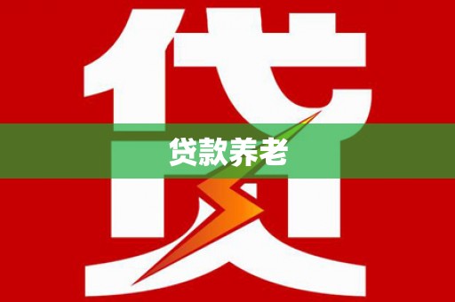 嵩县贷款养老
