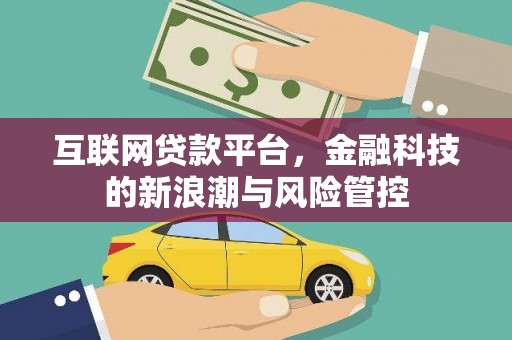 嵩县互联网贷款平台，金融科技的新浪潮与风险管控