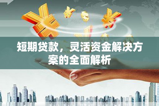 嵩县短期贷款，灵活资金解决方案的全面解析