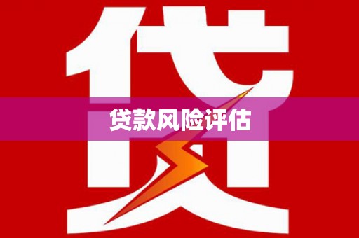 嵩县贷款风险评估