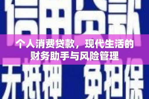 嵩县个人消费贷款，现代生活的财务助手与风险管理