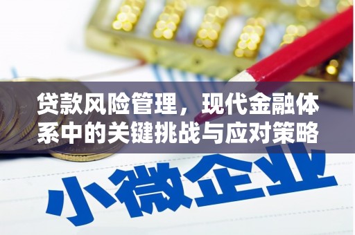 嵩县贷款风险管理，现代金融体系中的关键挑战与应对策略
