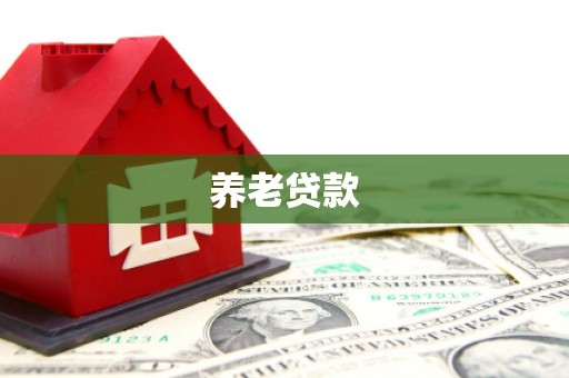 嵩县养老贷款