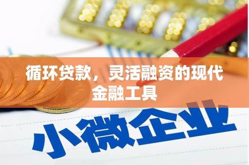 嵩县循环贷款，灵活融资的现代金融工具