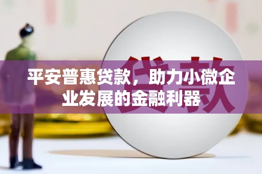 嵩县平安普惠贷款，助力小微企业发展的金融利器