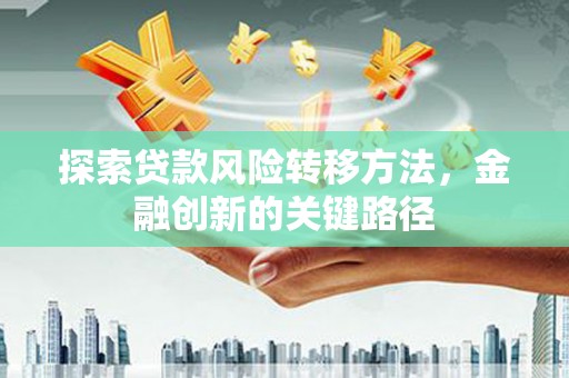 嵩县探索贷款风险转移方法，金融创新的关键路径