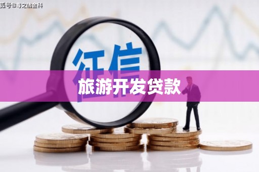 嵩县旅游开发贷款