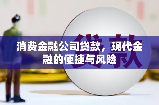 嵩县消费金融公司贷款，现代金融的便捷与风险