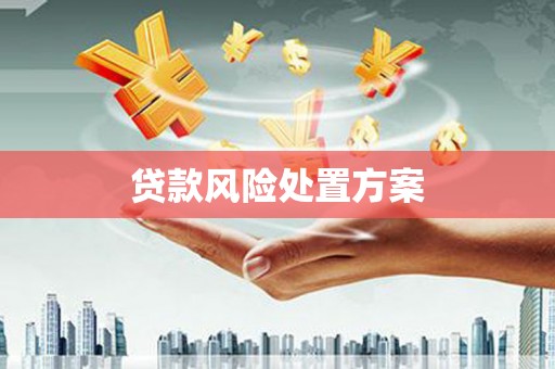 嵩县贷款风险处置方案