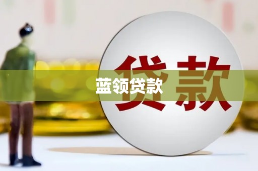 嵩县蓝领贷款