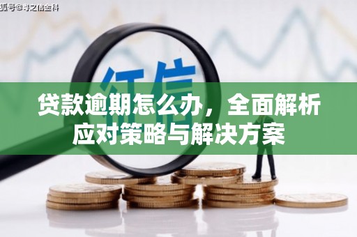 嵩县贷款逾期怎么办，全面解析应对策略与解决方案