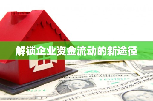嵩县解锁企业资金流动的新途径