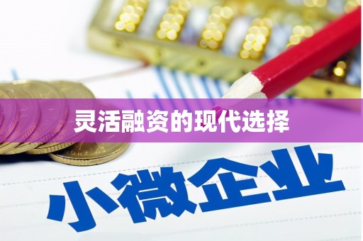 嵩县灵活融资的现代选择