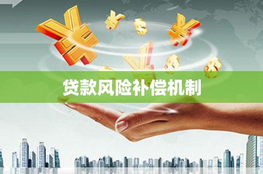 嵩县贷款风险补偿机制