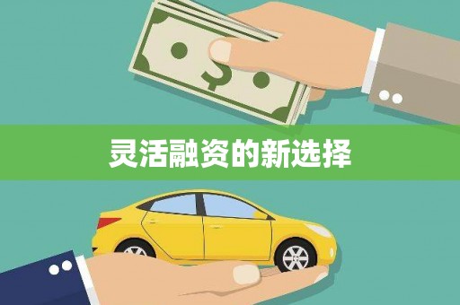 嵩县灵活融资的新选择
