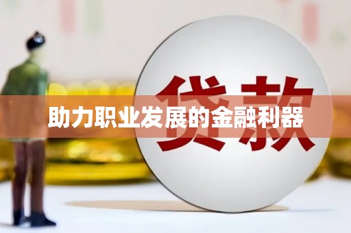嵩县助力职业发展的金融利器