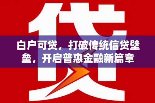 嵩县白户可贷，打破传统信贷壁垒，开启普惠金融新篇章