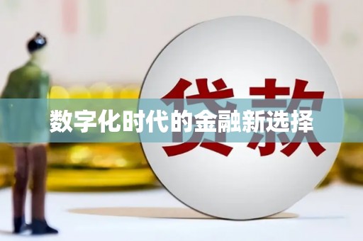 嵩县数字化时代的金融新选择