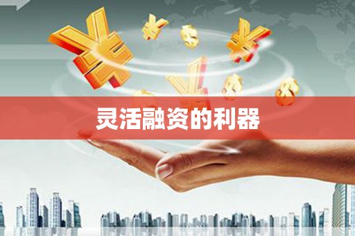 嵩县灵活融资的利器