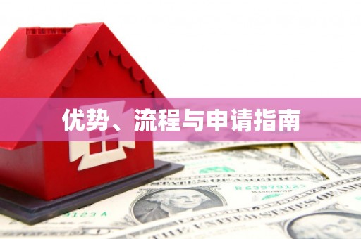 嵩县优势、流程与申请指南