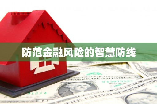 嵩县防范金融风险的智慧防线