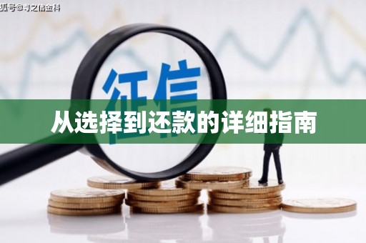 嵩县从选择到还款的详细指南