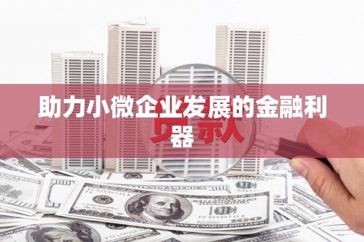 嵩县助力小微企业发展的金融利器