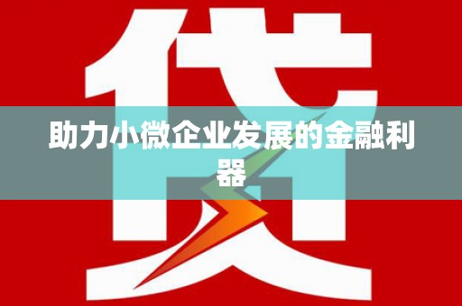 嵩县助力小微企业发展的金融利器