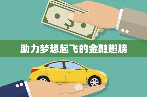嵩县助力梦想起飞的金融翅膀