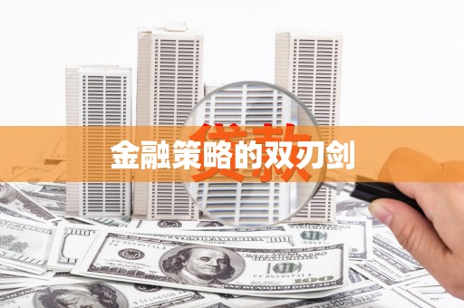 嵩县金融策略的双刃剑