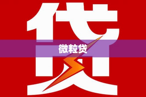 嵩县微粒贷