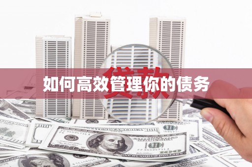 嵩县如何高效管理你的债务