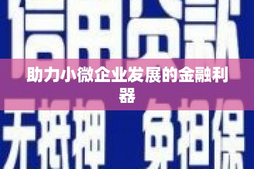 嵩县助力小微企业发展的金融利器