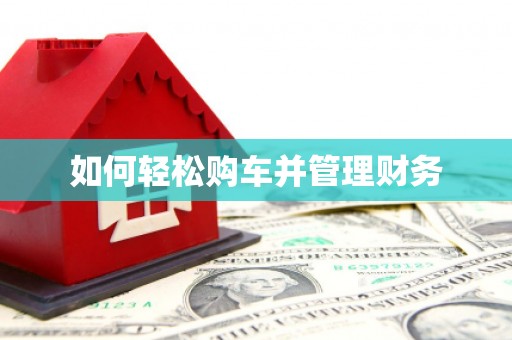 嵩县如何轻松购车并管理财务